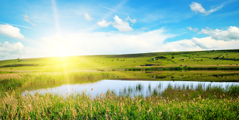 1670924540563189.jpg 一抹陽(yáng)光1_副本.jpg